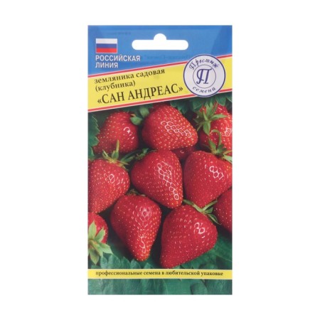 Strawberry seeds belt Kolon "San Andrehass", 0.01 gr