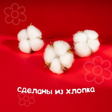 Dry flowers of cotton, set 3 pcs., Size 1 pc. 6 × 6 cm, white color-4