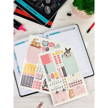 School School A5 80 sheets "Black Ploner", solid cover of artificial leather, foil embossing, lies, reference material, block 70 g/m2-3