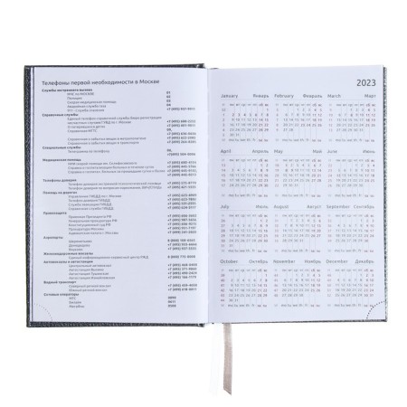 Dated diary 2024 A5 176 sheets, Devente.gold rush, firm cover of artificial leather, liesse, white block 70 g/m2, Gray-5