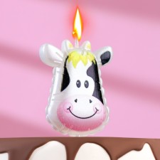 Candle in the cake on the skewer 