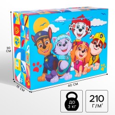 Package-Korobok, 40 x 30 x 15 cm, packaging, puppy patrol
