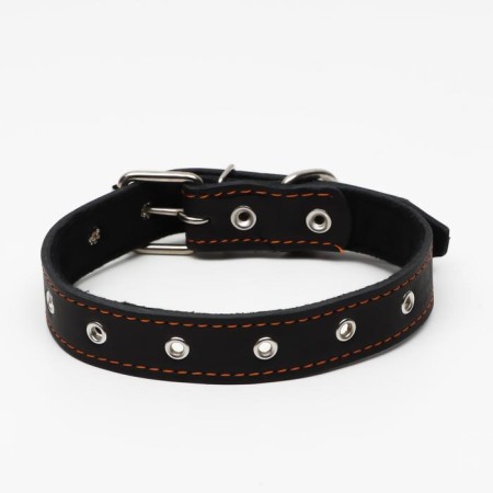 Leather collar on synthetic winterizer, dimensionless, 65 x 3 cm, Osh 22-55 cm, black