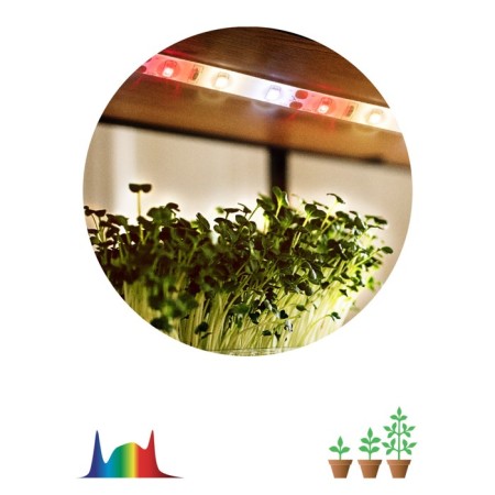 LED tape for plants ERA Fito-Strip Light-Ra90-3M full spectrum 3M IP65, with adapter 12
