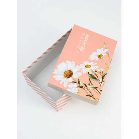 A set of boxes 10 in 1 "tender", 32.5 x 20 x 12.5 -12 x 7 x 4 cm-9