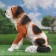 Garden figure "Dog Jack" Red 47x30x47cm