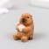 Figure for Florarium Polystone "Raka" 2x2x3 cm