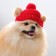 Knitted hat for dogs, XS-S (head volume 22-24 cm, height 7.5 cm), mix