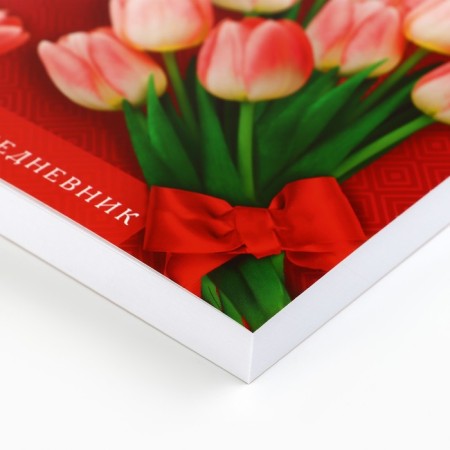 Diary "Teacher with gratitude", A5 format, 160 sheets, soft cover-2