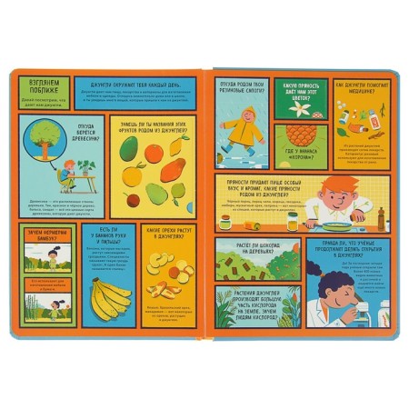 Book with windows "Jungle"-5