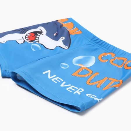 Bathing panties for the boy Minaku "Cool", height 122-128 (8)-1