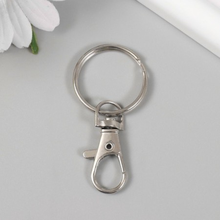 Metal keychain "Carabiner with a ring" silver 2.8x6 cm
