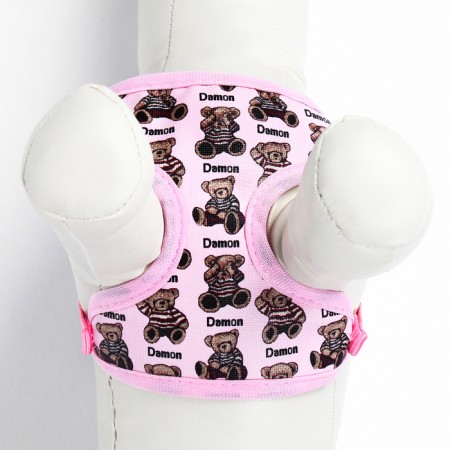 A set with a soft slope "Damon", size S, leash 120 x 1 cm, pink-8