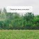 Decorative fence, 30 × 290 cm, 5 sections, plastic, black, "park"