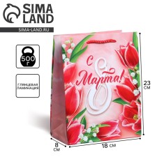 Package Gift Laminated Horizontal, Packaging, Spring Paints, MS 18 x 23 x 8 cm