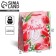 Package Gift Laminated Horizontal, Packaging, Spring Paints, MS 18 x 23 x 8 cm