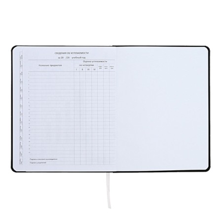 Universal diary for grade 1-11 I’m fine, integral cover, artificial leather, silkography, lies, 80 g/m2-11