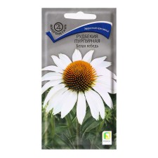 Semen of flowers Rudbekia is purple 