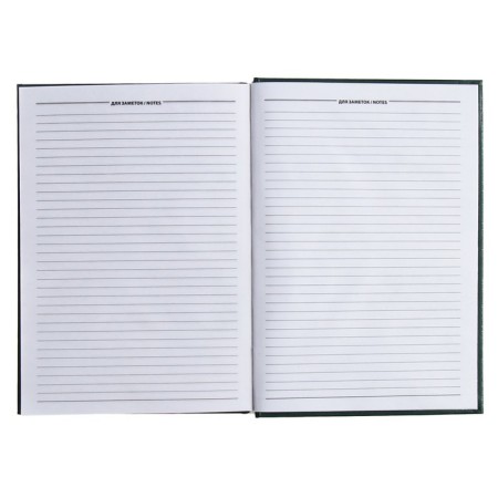 The diary is half -dantered for 4 years A5, 192 sheets, the cover of the boumvinyl, green-10