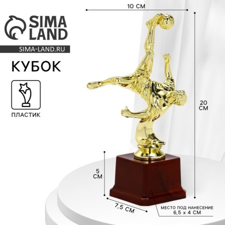 Award figure Cup "Football player", B, gold, plastic stand, 20 x 10 x 7.5 cm