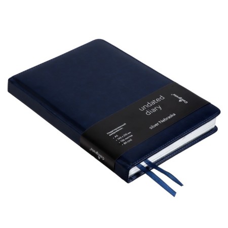 Deliciper of Leduced A5, 136 sheets in a ruler, leatherette "Nebraska", silver cut, blue-2