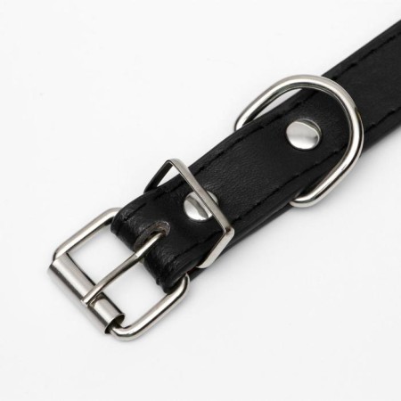 A collar of high -quality artificial leather with a lining "under the skin", 44 x 2 cm, mix-3