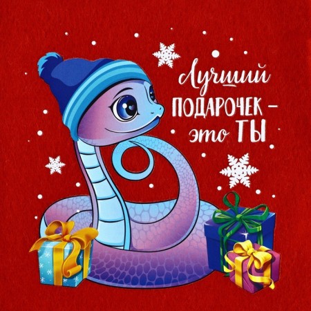 Nosok for gifts "Best Gift"-2