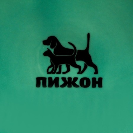 Ceramic bowl "Important dog" 250ml, 11.5 x 5 cm, mint-4