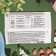 The drug for the main diseases of the fruit crops "Horus", 1 g