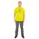 T-shirt Payer World Tour, cotton, lime, rr XS