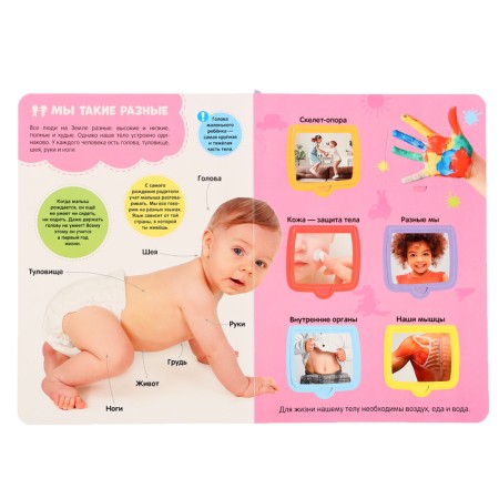 Book with windows "My body"-1