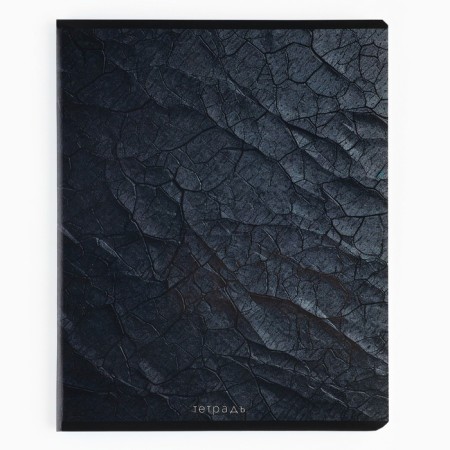Notebook in a cage, 48 sheets A5 on a paper clip 5 pcs., Inner block No. 1 Mix “September 1: Stone” Twin Lac, UV Lac-4