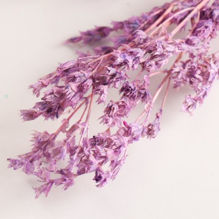 Set of dried flowers "chandra", banch length 40 (+/- 6 cm), lilac-2