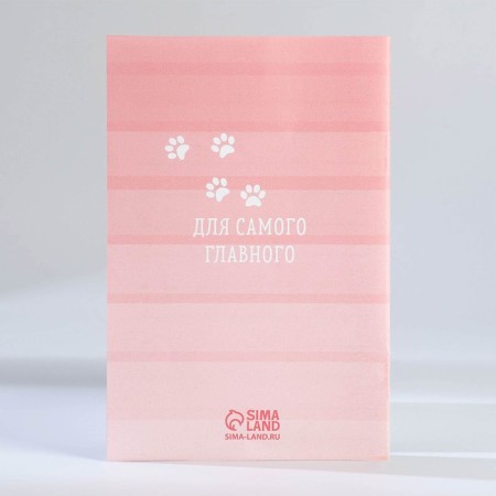 Set: notebook - coloring, crayons 4 pcs. "Cat"-9