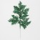 Decorative twig "amazement" in green color, 0.3 × 12 × 28 cm