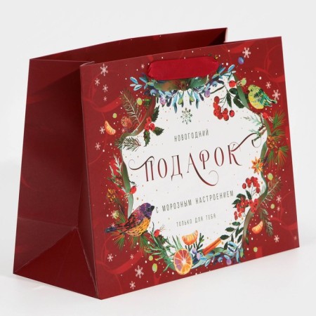 Laminated horizontal package “Frosted”, MS 18 x 23 x 10 cm, New Year-1
