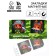 Magnetic bookmarks for books, 2 pcs., 4 × 4 cm, on the substrate "From February 23"
