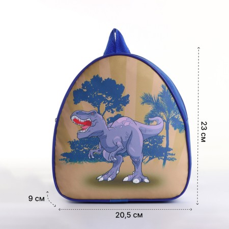 Children's backpack on the zipper "chosen", the color is blue-1
