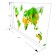 Polygonal designer "Earth", 17 sheets