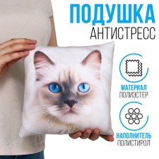 Antistress pillow 