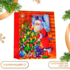 Gift package 