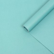 Kraft paper double, marsh 0.68 x 10 m