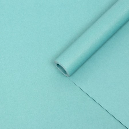 Kraft paper double, marsh 0.68 x 10 m