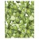 Pillow Roller "Cacti, decorative, size 16x45 cm