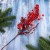 Berries 3