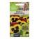Viola flower seeds "Butterfly wings", 0.1 g