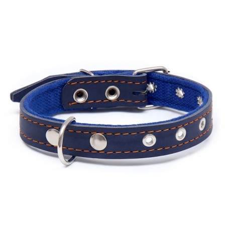 Collar combined leather/tarpaulin, dimensionless, 56 x 2.5 cm, Osh 25-51 cm, blue-1