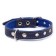 Collar combined leather/tarpaulin, dimensionless, 56 x 2.5 cm, Osh 25-51 cm, blue