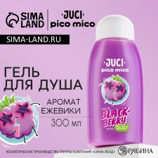 Shower gel squirrels, 300 ml, blackberry aroma, Pico Mico