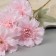 Artificial flowers "Clove Caspar Galant" 58x7 cm, pink